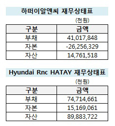 하떠이알앤씨 재무상태