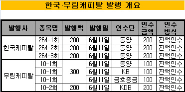 한국 무림캐피탈 발행개요