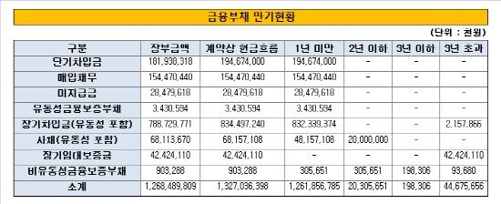 금융부채만기현황