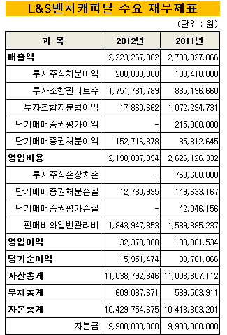 엘앤에스_재무