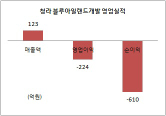 블루아일랜드개발 영업이익