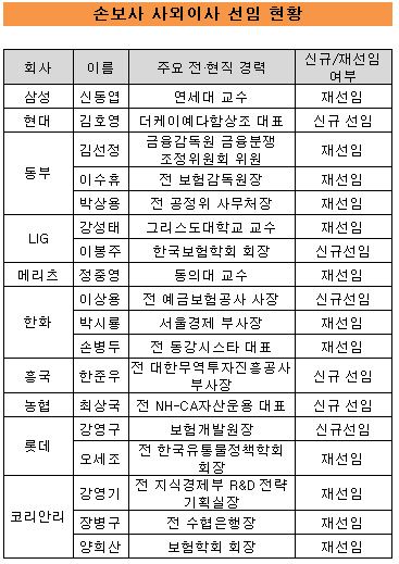 손보사외