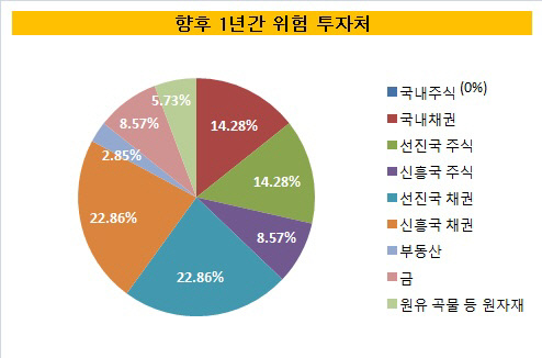 향후 1년 위험 투자처