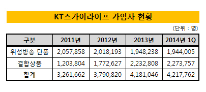 스카이라이프