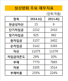성신양회 재무지표