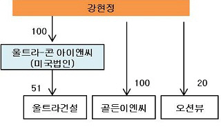 울트라건설 지배구조