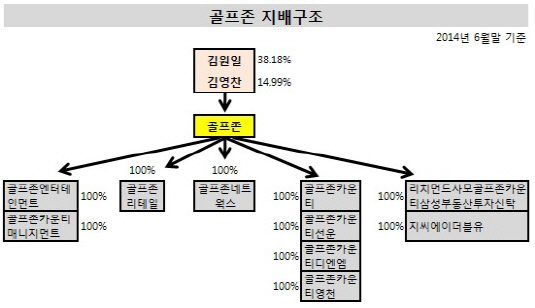 골프존 지배구조(2014년 6월말 기준)