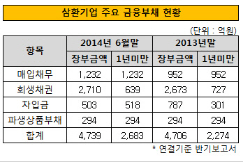 삼환기업 금융부채