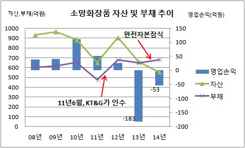 소망화장품 자산 및 부채 추이