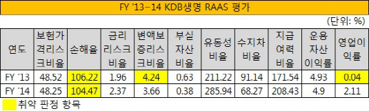 FY '13~14 KDB생명 RAAS 평가