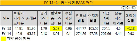 FY '13~14 동부생명 RAAS 평가