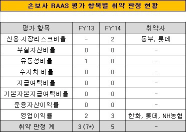 손보사 RAAS 평가 항목별 취약 판정 현황