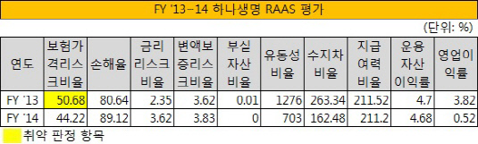 FY '13~14 하나생명 RAAS 평가