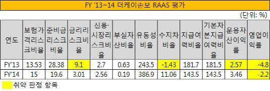 FY '13~14 더케이손보 RAAS 평가