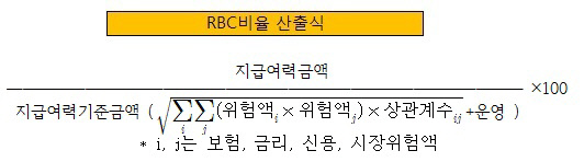 RBC비율 구성체계