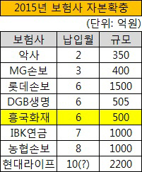 2015년 보험사 자본확충