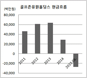 골프존홀딩스 현금흐름