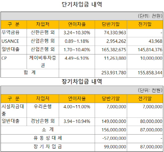 차입금내역