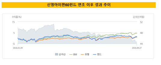 신영아이젠60