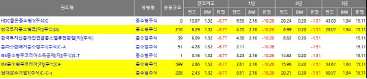 수익률 상위 중소형주펀드