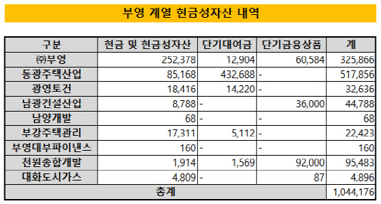 부영그룹 현금성자산