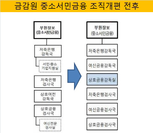 금감원 중소서민 조직개편